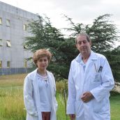 Un estudio de la ULE demuestra que las hojas del olivo pueden revelar dónde se adapta mejor cada variedad