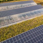 Dos municipios de la provincia de León recibirán 21,8 millones para proyectos agrivoltaicos de última generación | Daniel Bartus - iStock