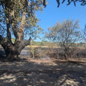 Consecuencias incendio en los solares entre los parques de La Candamia y La Granja y el instituto Lancia de la capital leonesa