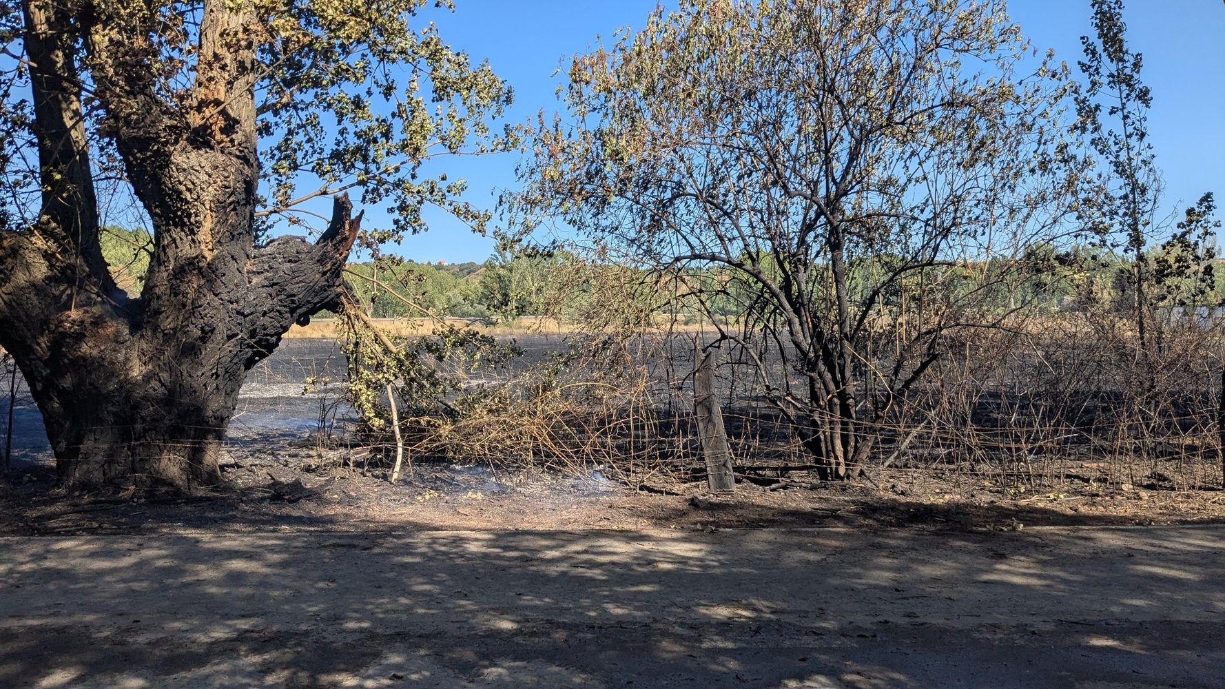 Consecuencias del incendio en los solares entre los parques de La Candamia y La Granja y el instituto Lancia de la capital leonesa