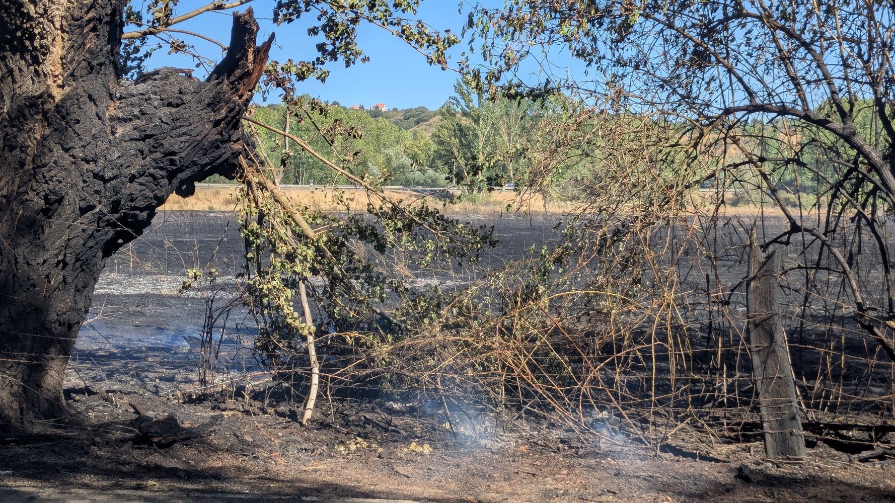 Consecuencias del incendio en los solares entre los parques de La Candamia y La Granja y el instituto Lancia de la capital leonesa