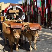 Villaquilambre da hasta 180 euros por carro o pendón para llenar de tradición el desfile de San Froilán Villaquilambre da hasta 180 euros por carro o pendón para llenar de tradición el desfile de San Froilán