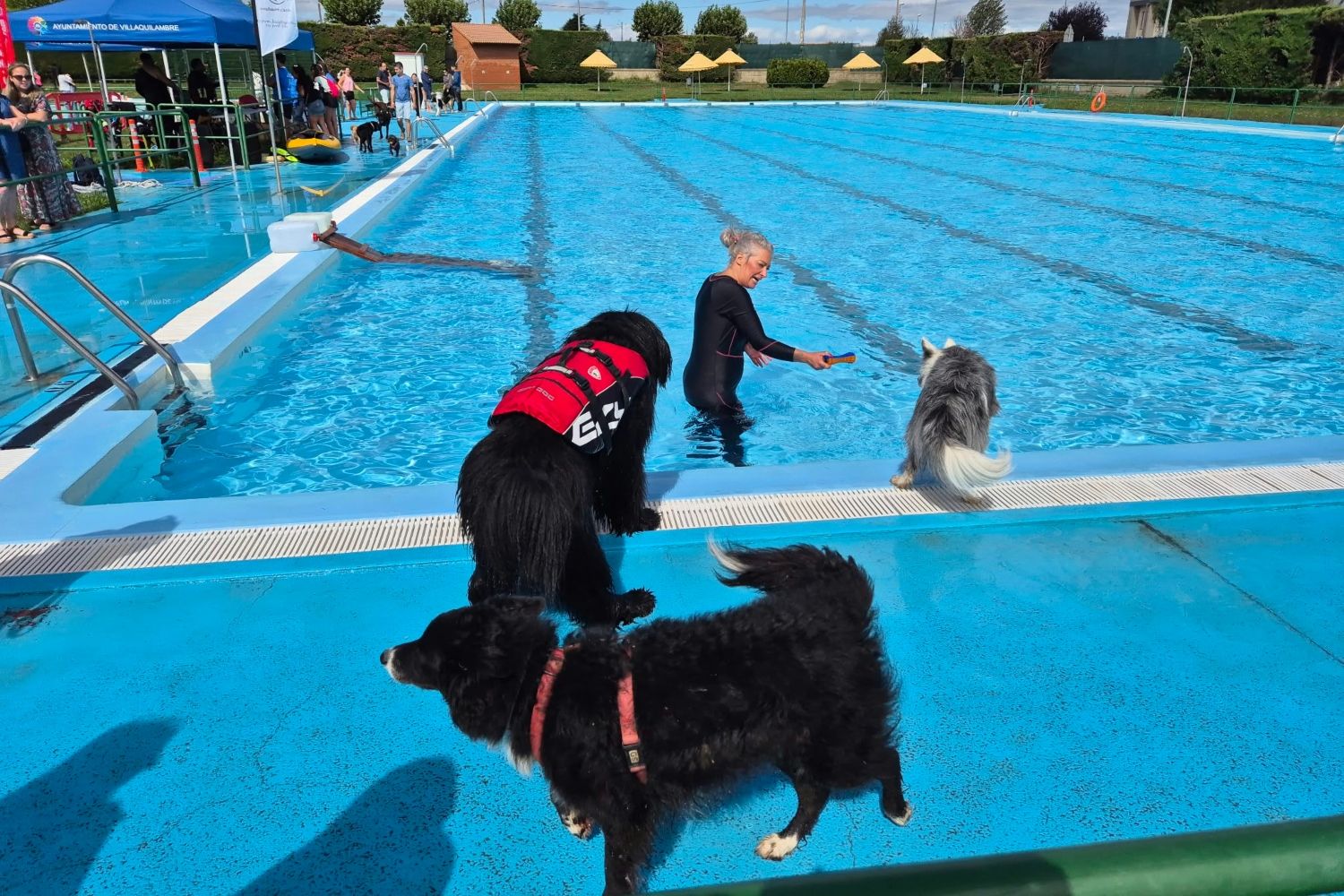 Villaquilambre cierra la temporada de piscina con un día de baño para perros Villaquilambre cierra la temporada de piscina con un día de baño para perros