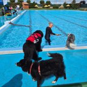 Villaquilambre cierra la temporada de piscina con un día de baño para perros Villaquilambre cierra la temporada de piscina con un día de baño para perros