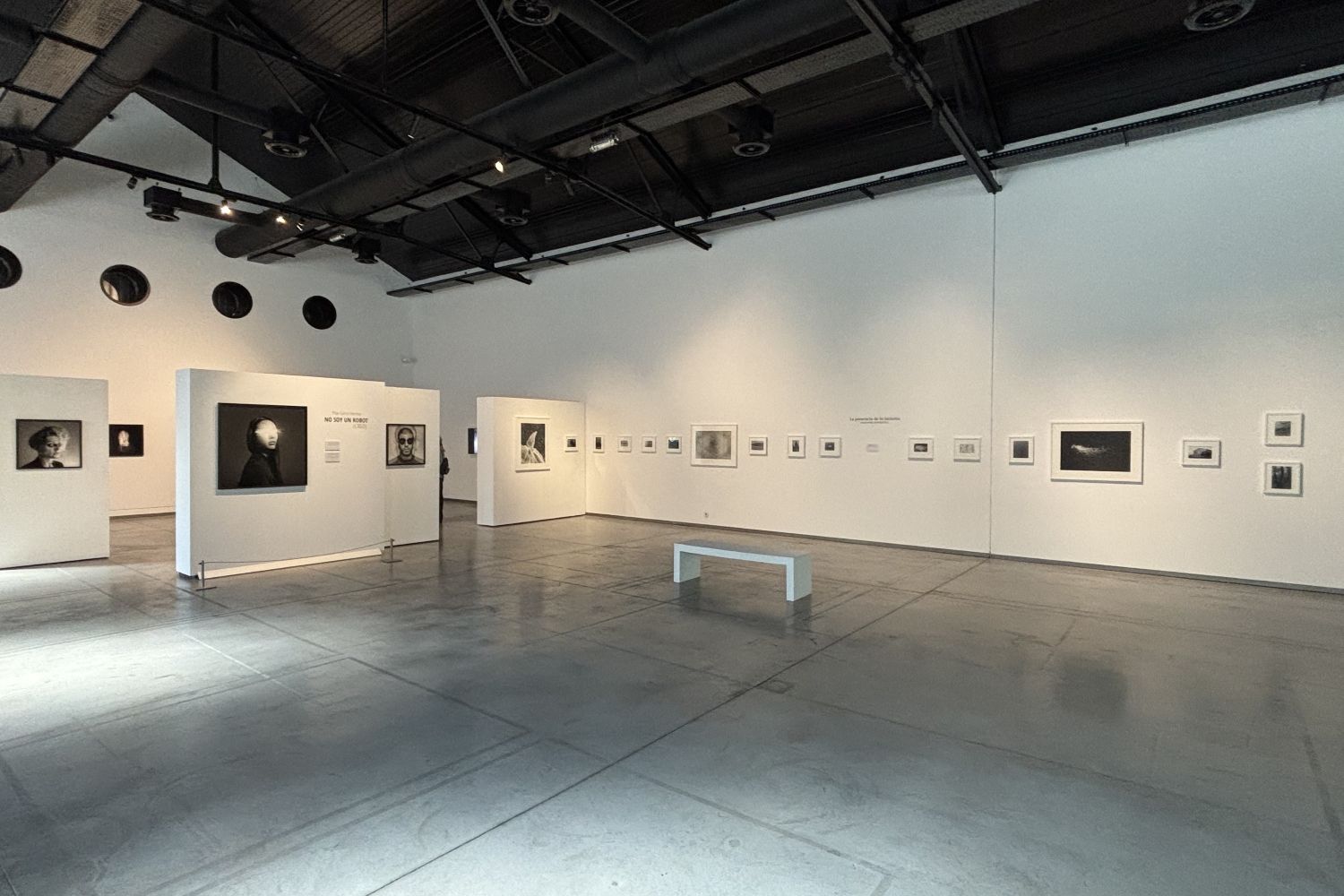 Expositivos 26