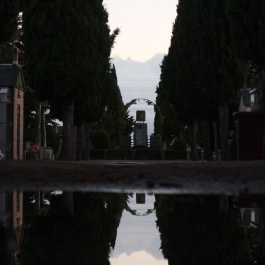 Serfunle prevé invertir más de 200.000 euros en terminar de pavimentar el cementerio de León Serfunle prevé invertir más de 200.000 euros en terminar de pavimentar el cementerio de León