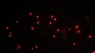 Así brilló León con los fuegos artificiales en la noche previa a San Froilán | José Martín