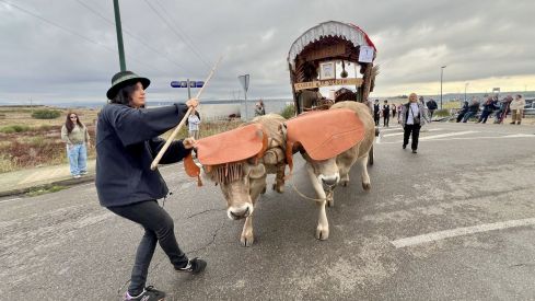 La Romería de San Froilán llena La Virgen del Camino de color y tradición | Peio García / ICAL