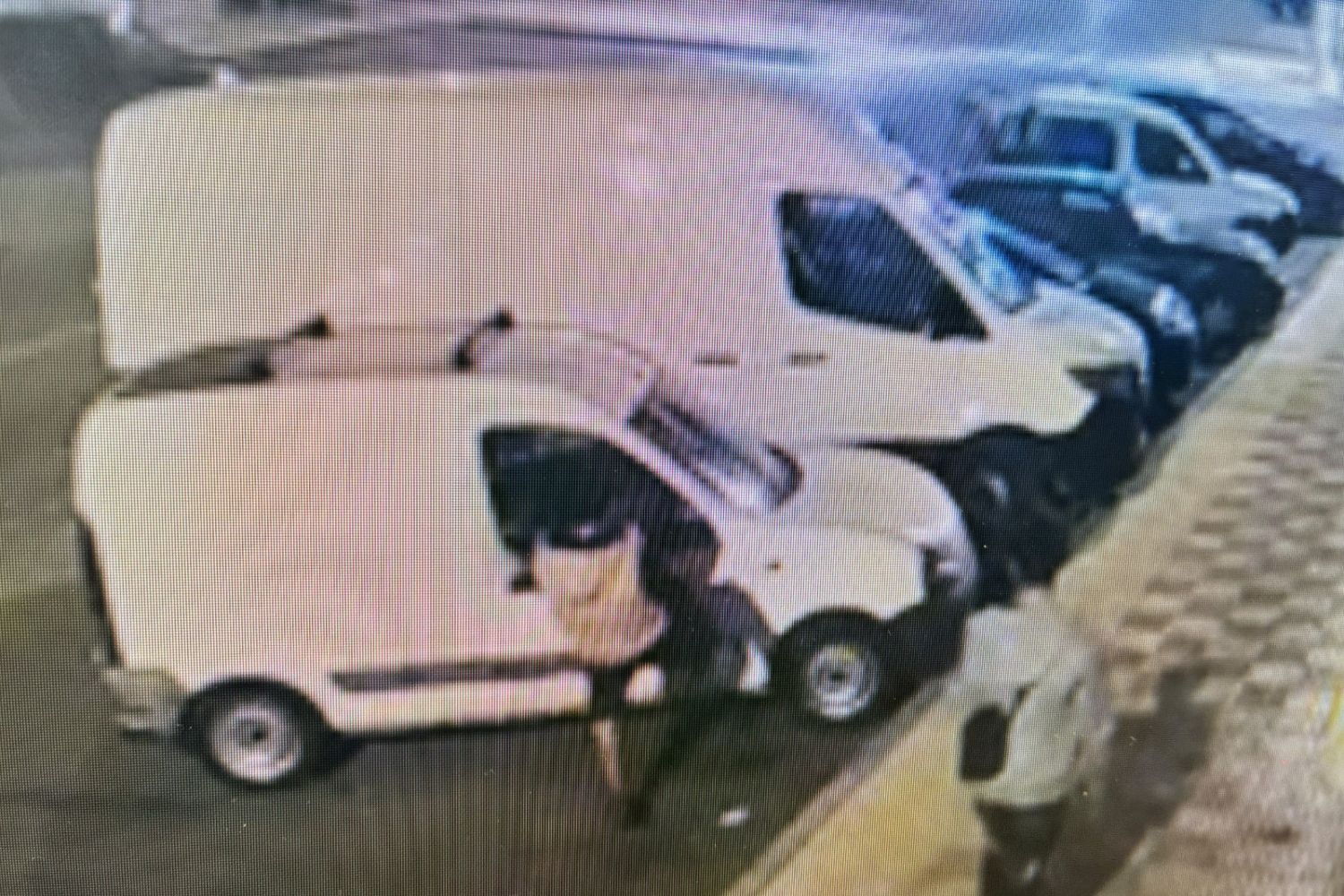 Detenido un joven de 19 años por causar daños en cuatro vehículos en Navatejera y Villarrodrigo