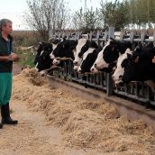 El veterinario rural y Vicepresidente del Colegio Oficial de la Profesión Veterinaria, Antonio Manuel Rodríguez, en una explotación ganadera de León | Foto: Peio García, ICAL