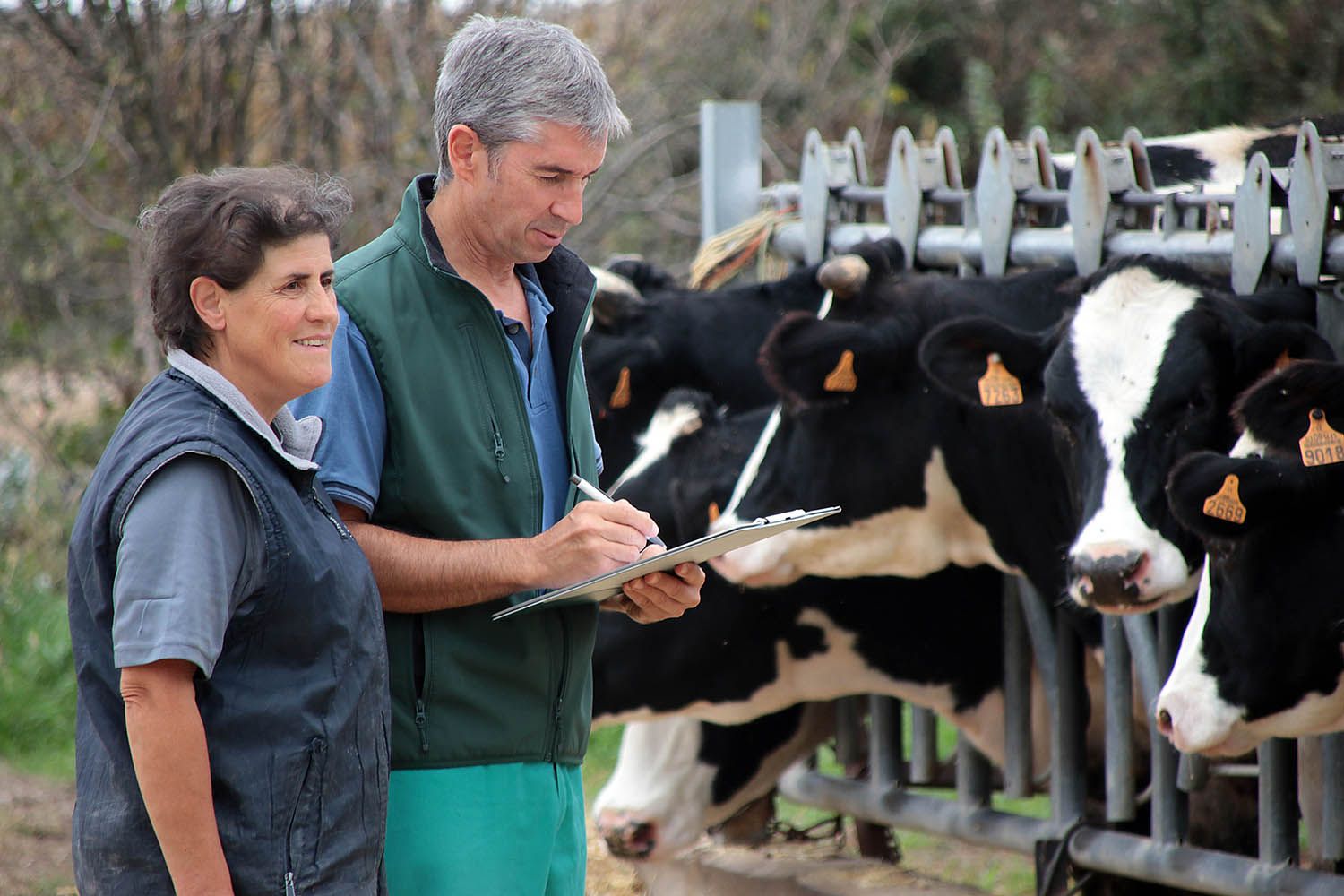 El veterinario rural y Vicepresidente del Colegio Oficial de la Profesión Veterinaria, Antonio Manuel Rodríguez, en una explotación ganadera de León | Foto: Peio García, ICAL El veterinario rural y Vicepresidente del Colegio Oficial de la Profesión Veterinaria, Antonio Manuel Rodríguez, en una explotación ganadera de León | Foto: Peio García, ICAL