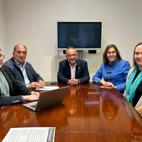 La Diputación de León ayuda a los municipios a blindar sus webs frente a posibles ciberataques La Diputación de León ayuda a los municipios a blindar sus webs frente a posibles ciberataques